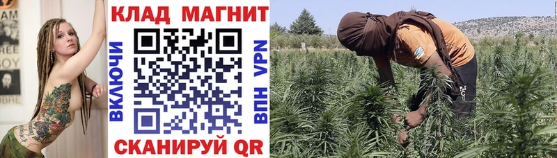 Виды наркотиков купить Ворсма Каннабис A PVP Гашиш Мефедрон