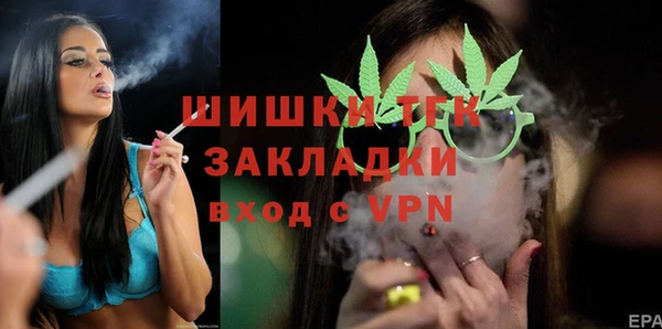 спиды Богданович