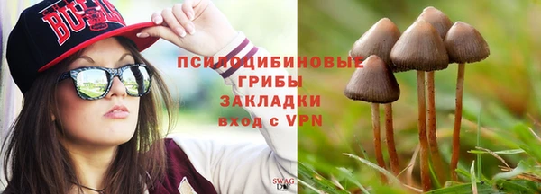 спиды Богданович