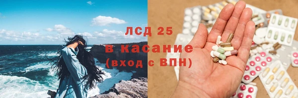 спиды Богданович