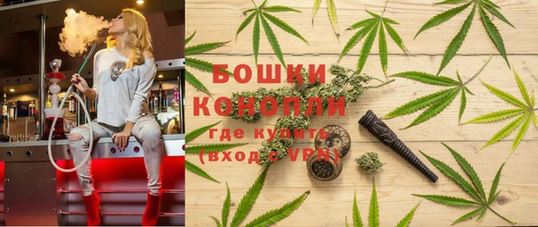 хмурый Богородск