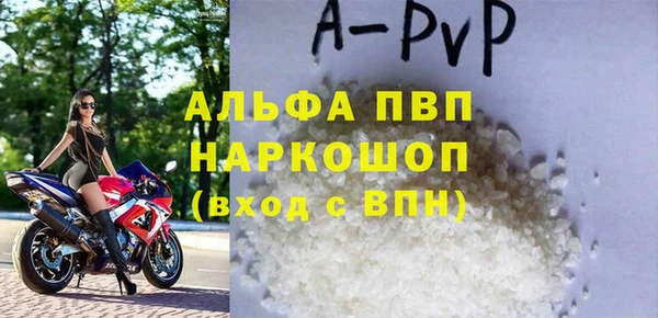 спиды Богданович