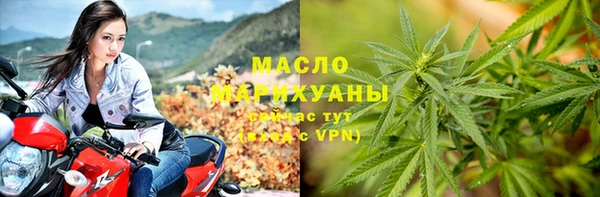 спиды Богданович