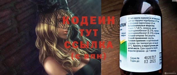 хмурый Богородск